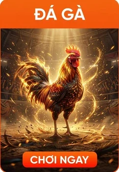 NOHU card daga